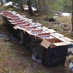 Peste 10.000 pachete cu țigări, confiscate la frontiera cu Ucraina