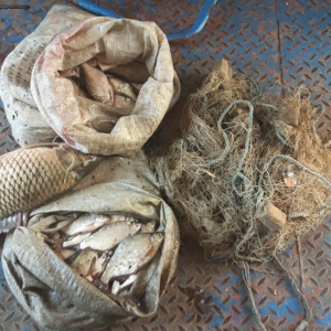 Brăilean cercetat pentru braconaj piscicol