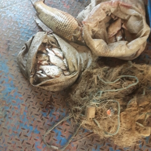 Brăilean cercetat pentru braconaj piscicol