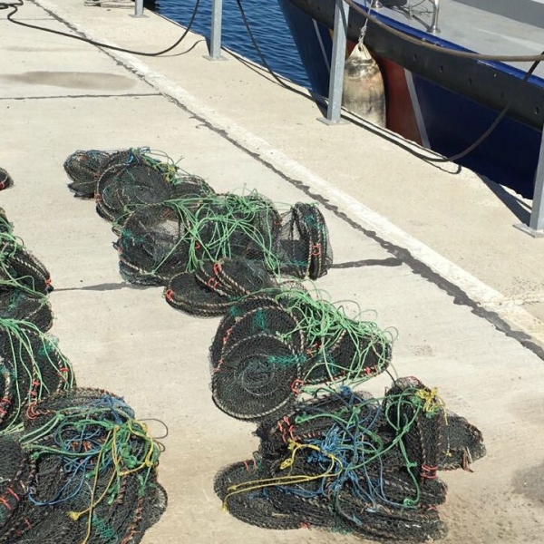 Unelte de pescuit interzise de lege, descoperite în Marea Neagră