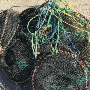 Unelte de pescuit interzise de lege, descoperite în Marea Neagră