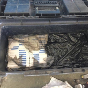 Doi frați au încercat să introducă ilegal în țară o cantitate record de substanţe anabolizante