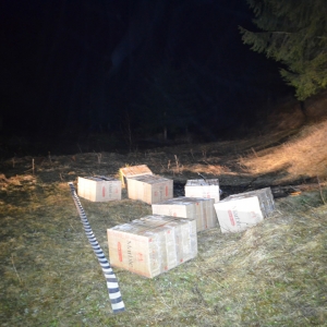 Aproximativ 18.000 pachete cu țigări confiscate în urma mai multor acțiuni pe linia combaterii contrabandei la frontiera de nord