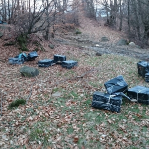 Peste 26.500 pachete ţigări confiscate la frontiera de nord