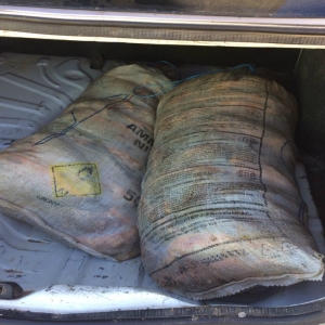 Peste 90 de kilograme de peşte, confiscate de poliţiştii de frontieră