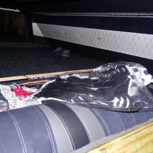 Bunuri susceptibile a fi contrafăcute, confiscate la P.T.F Giurgiu