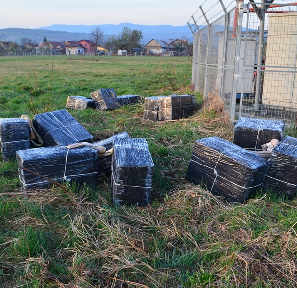 Peste 14.000 pachete cu ţigări, confiscate la frontiera de nord