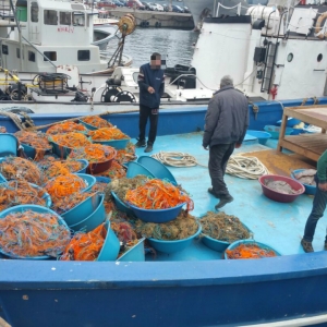 Pescador turcesc surprins la braconat în Marea Neagră, de nava Poliţiei de Frontieră MAI 1101