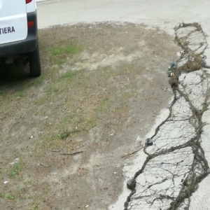 Peste 50 de kilograme de peşte pescuite ilegal,descoperite de poliţiştii de frontieră brăileni