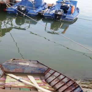 Peste 50 de kilograme de peşte pescuite ilegal,descoperite de poliţiştii de frontieră brăileni