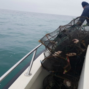 Doi cetățeni români surprinși la pescuit în Marea Neagră, folosind unelte interzise de lege