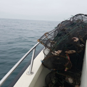 Doi cetățeni români surprinși la pescuit în Marea Neagră, folosind unelte interzise de lege