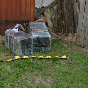 Ţigarete de contrabandă, ascunse într-un imobil părăsit