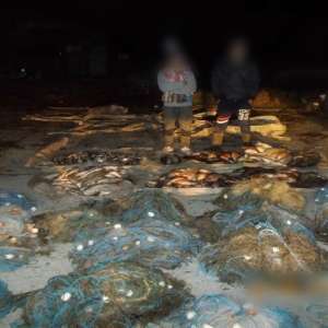 Peste 200 kilograme de peşte şi plase monofilament, confiscate de poliţiştii de frontieră tulceni