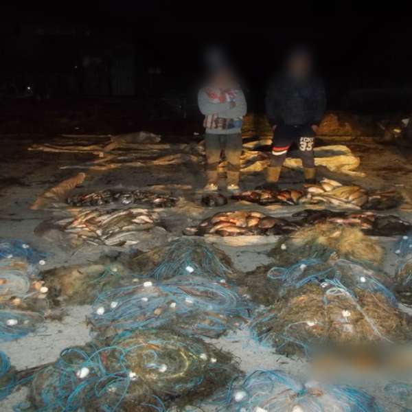 Peste 200 kilograme de peşte şi plase monofilament, confiscate de poliţiştii de frontieră tulceni