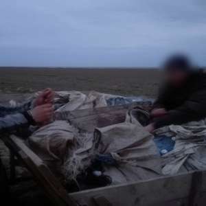 Peste 200 kilograme de peşte şi plase monofilament, confiscate de poliţiştii de frontieră tulceni