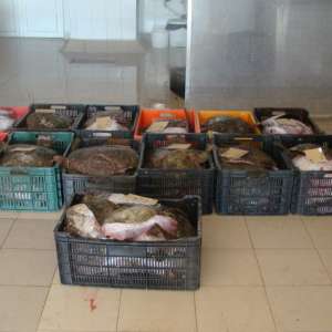 Ambarcaţiune ucraineană surprinsă la braconat în Marea Neagră de nava Poliţiei de Frontieră MAI 2110