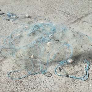 Braconieri depistaţi de poliţiştii de frontieră brăileni