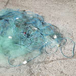 Braconieri depistaţi de poliţiştii de frontieră brăileni