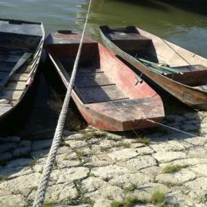 Braconieri depistaţi de poliţiştii de frontieră brăileni