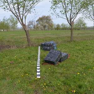 Țigări de contrabandă în valoare de aproximativ 100.000 lei, confiscate la frontiera de nord