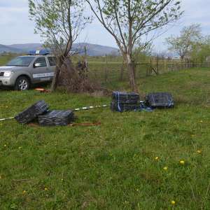 Țigări de contrabandă în valoare de aproximativ 100.000 lei, confiscate la frontiera de nord