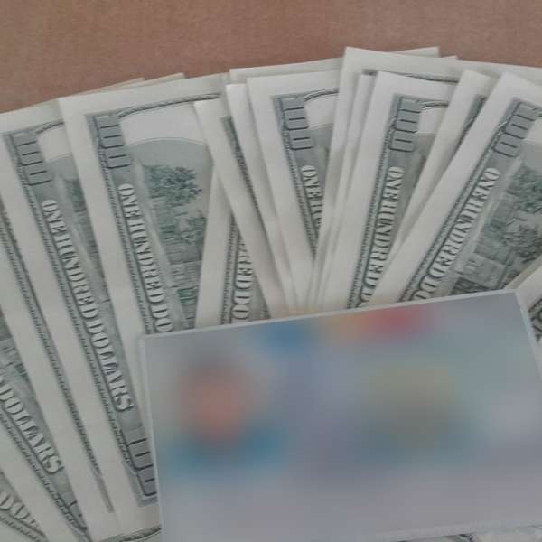 Aproximativ 380.000 de dolari nedeclarați, descoperiți pe sensul de intrare în țară