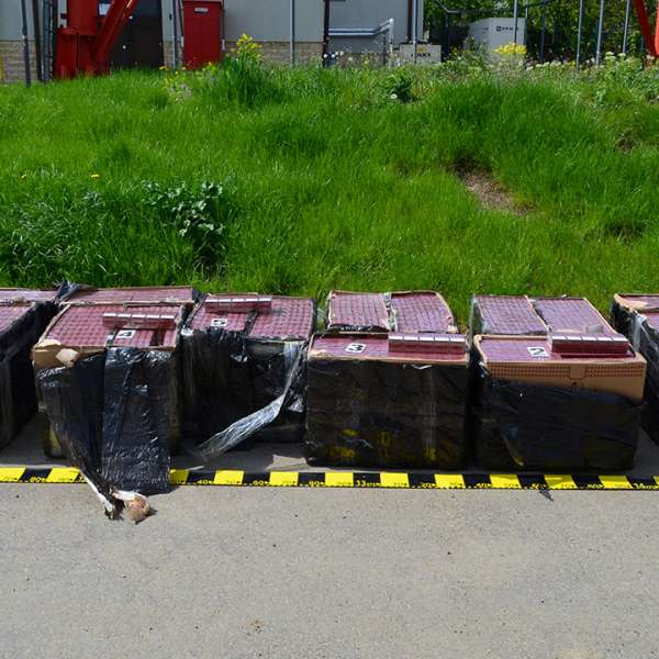Focuri de armă la frontiera cu Ucraina pentru reţinerea unor contrabandişti