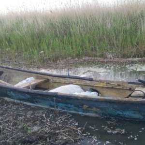 124 kilograme de peşte pescuite ilegal, confiscate de poliţiştii de frontieră constănţeni