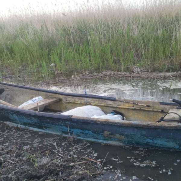 124 kilograme de peşte pescuite ilegal, confiscate de poliţiştii de frontieră constănţeni