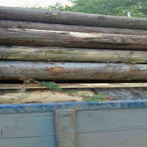 Transport ilegal de material lemnos depistat de poliţiştii de frontieră