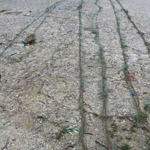 Doi bărbați surprinși la pescuit în perioada de prohibiție de către polițiștii de frontieră