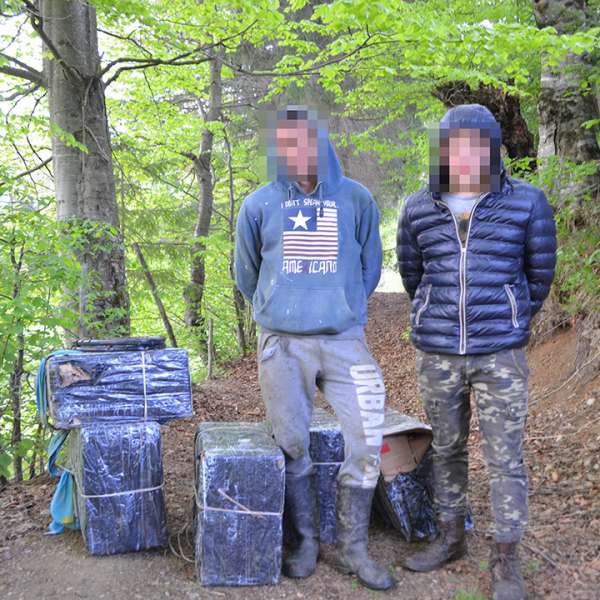 Peste 38.000 de pachete cu ţigări confiscate la frontiera de nord