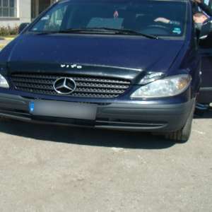 Substanţe anabolizante ascunse între documente,descoperite la P.T.F. Albiţa