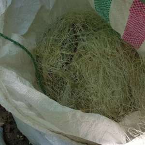 Sute de metri de plase monofilament, confiscați de polițiștii de frontieră mehedințeni