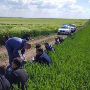 16 cetăţeni irakieni, opriţi la frontiera cu Bulgaria