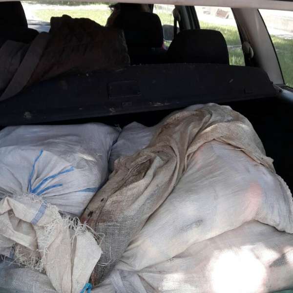 Aproximativ 175 kg peşte fără documente legale, confiscate la Tulcea