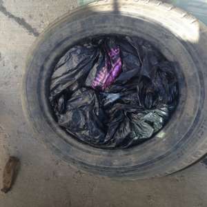 Pește ascuns în roata de rezervă a unui autoturism,  descoperit de poliţiştii de frontieră gălăţeni