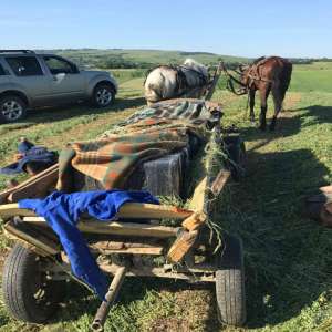 Focuri de armă la frontiera cu Ucraina pentru reţinerea unor contrabandişti