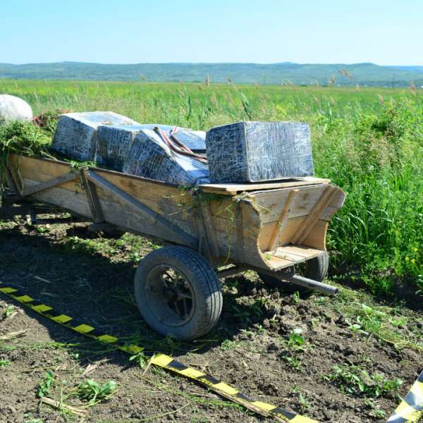 Zeci de mii de tigarete de contrabandă, ascunse într-un atelaj hipo, sub iarba cosită