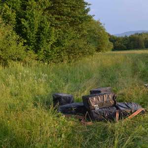 46.000 pachete cu țigări de contrabandă confiscate la frontiera de nord