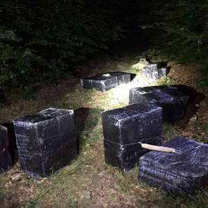 31.450 pachete cu țigări de contrabandă confiscate la frontiera de nord