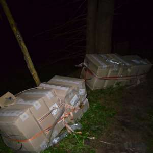31.450 pachete cu țigări de contrabandă confiscate la frontiera de nord