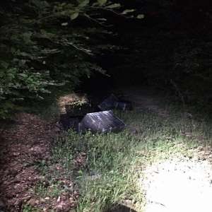 31.450 pachete cu țigări de contrabandă confiscate la frontiera de nord