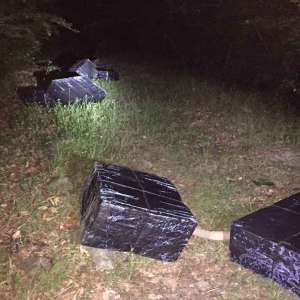 31.450 pachete cu țigări de contrabandă confiscate la frontiera de nord
