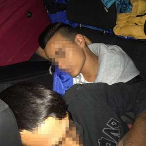 2 cetăţeni români ascunşi într-un microbuz, depistaţi la P.T.F. Nădlac