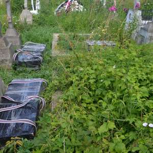 Cetăţeni români reţinuţi cu focuri de armă, la frontiera de nord