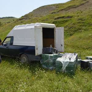 10.000 pachete cu țigări de contrabandă confiscate la frontieră