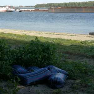 Aproximativ două tone de grâu, recuperate cu ajutorul poliţiştilor de frontieră brăileni