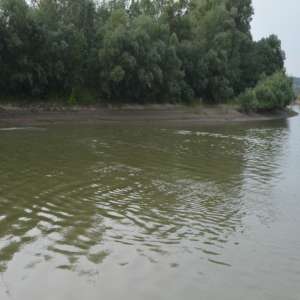 Tânăr din R. Moldova oprit la frontieră după ce a încercat să intre ilegal în România traversând râul Prut înot